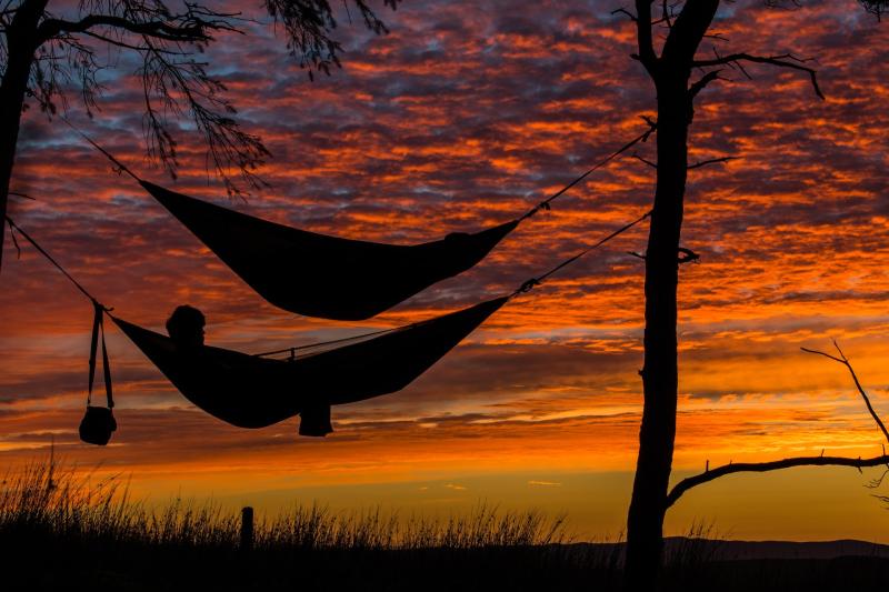 Hammocks at sunset